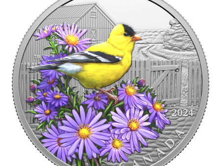 2024 Canada $20 Colourful Birds: American Goldfinch Fine Silver (No Tax) For Sale