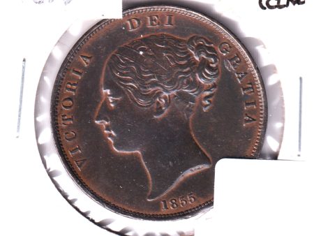 Great Britain 1855 Penny Almost Uncirculated (AU-50) Cleaned Fashion