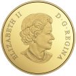 2017 Canada $200 Welcome to the World Pure Gold Coin (No Tax) Discount