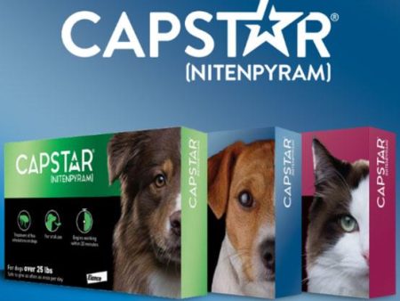 Capstar for Dogs & Cats Discount